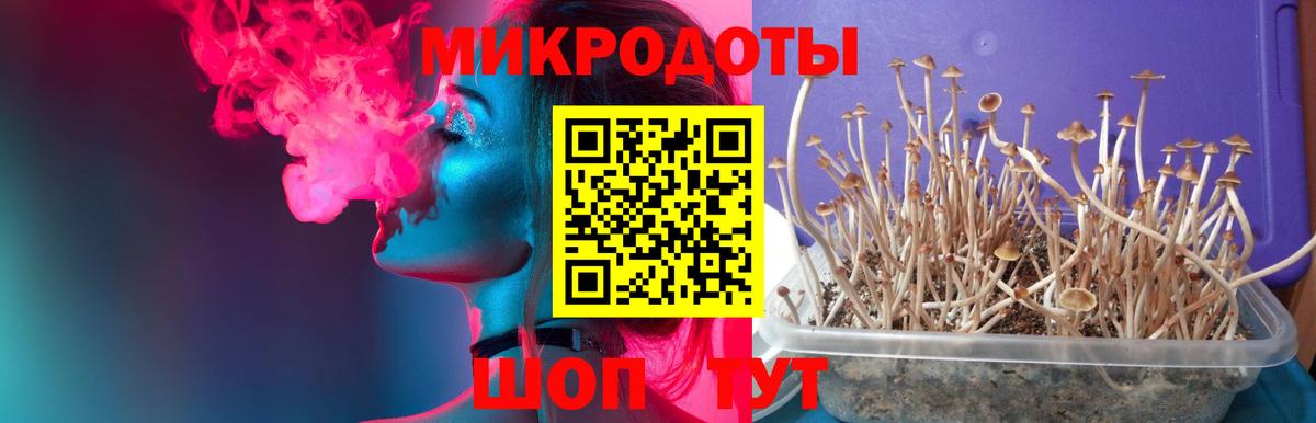 Псилоцибиновые грибы Magic Shrooms  Галлюциногенные грибы MAGIC MUSHROOMS  Горячий Ключ  Вход с VPN 